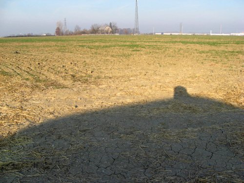 Property photo 22 - 60 Acres Offered in 2 Tracts
